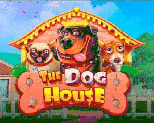 Play The Dog House in Boomingslots Casino